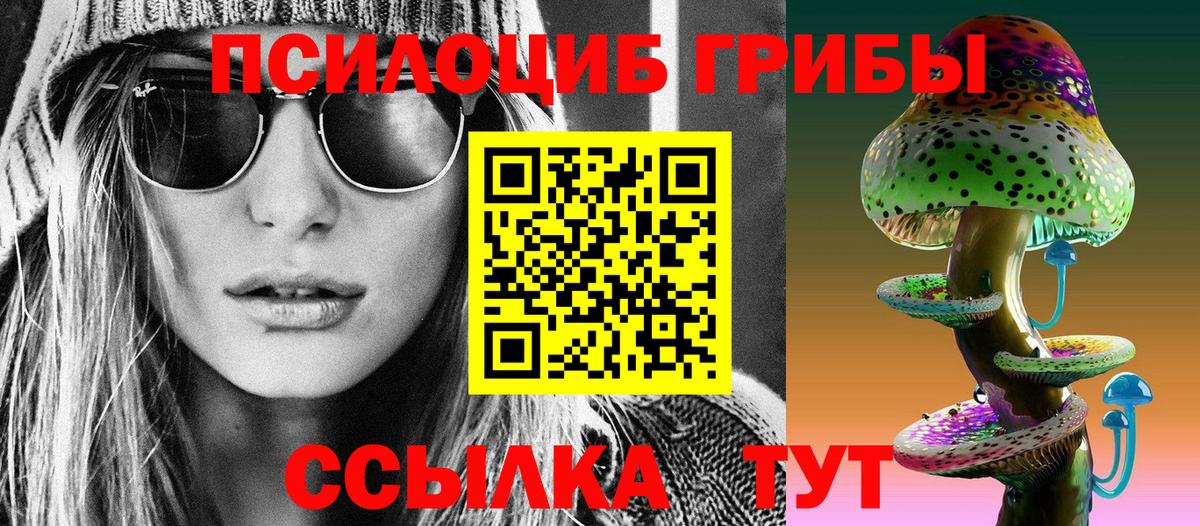 Биробиджан  Псилоцибиновые грибы Cubensis  цены   Вход с VPN  Псилоцибиновые грибы Magic Shrooms 