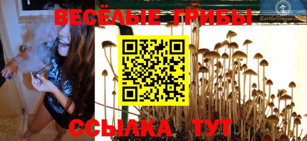 Галлюциногенные грибы Magic Shrooms Биробиджан